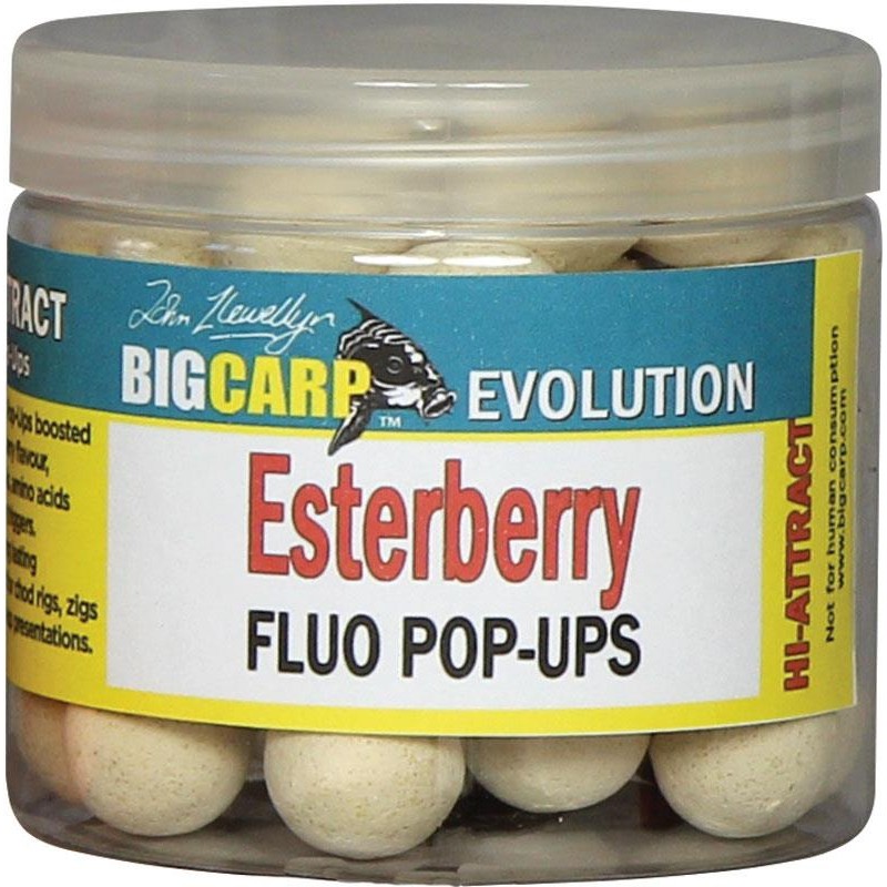 Baits & Additives Big Carp POP UP FLUO ESTERBERRY 15MM
