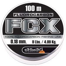 FCX 100M 12/100