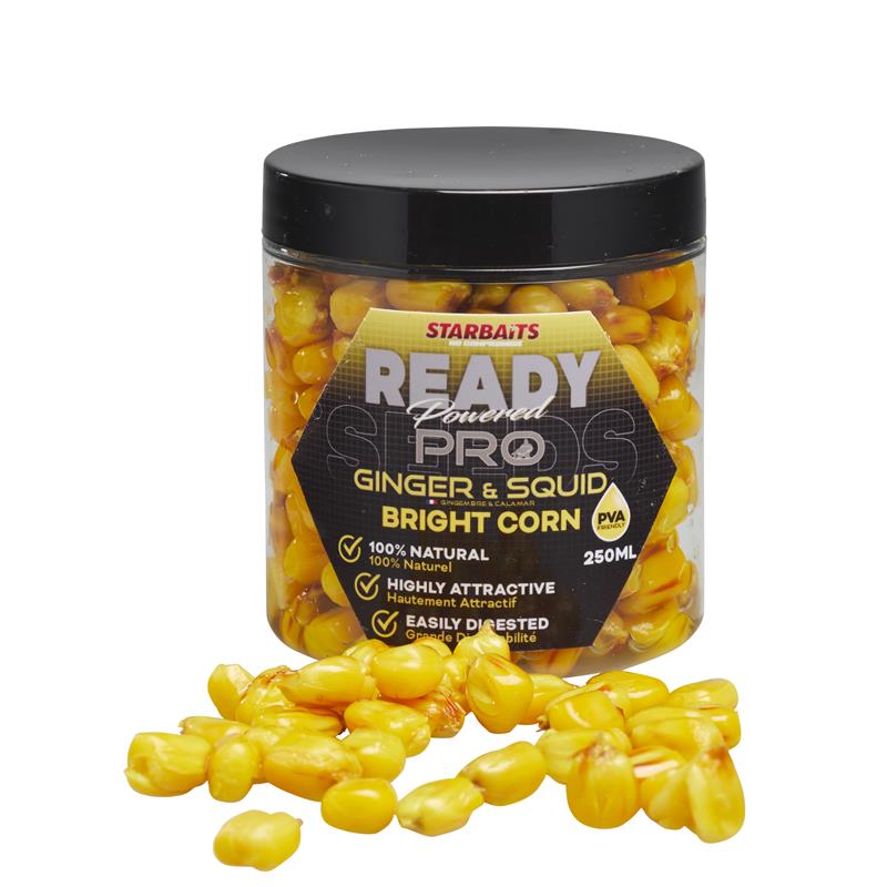 Baits & Additives Star Baits READY SEEDS PRO BRIGHT CORN GINGER SQUID