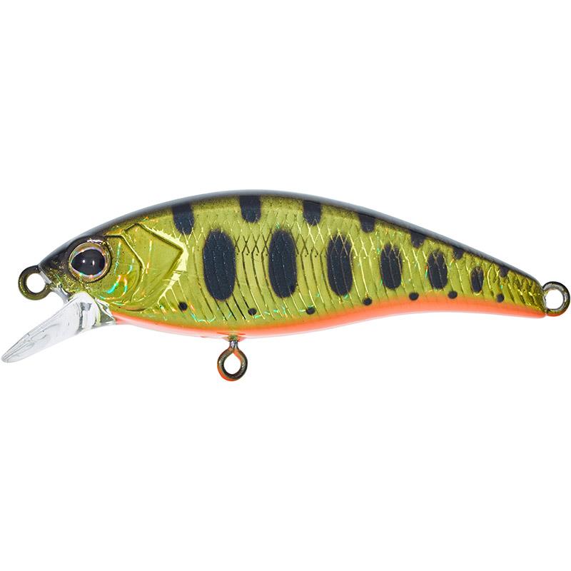 FLAT TRICOROLL 45 S 4.5CM GOLD TROUT