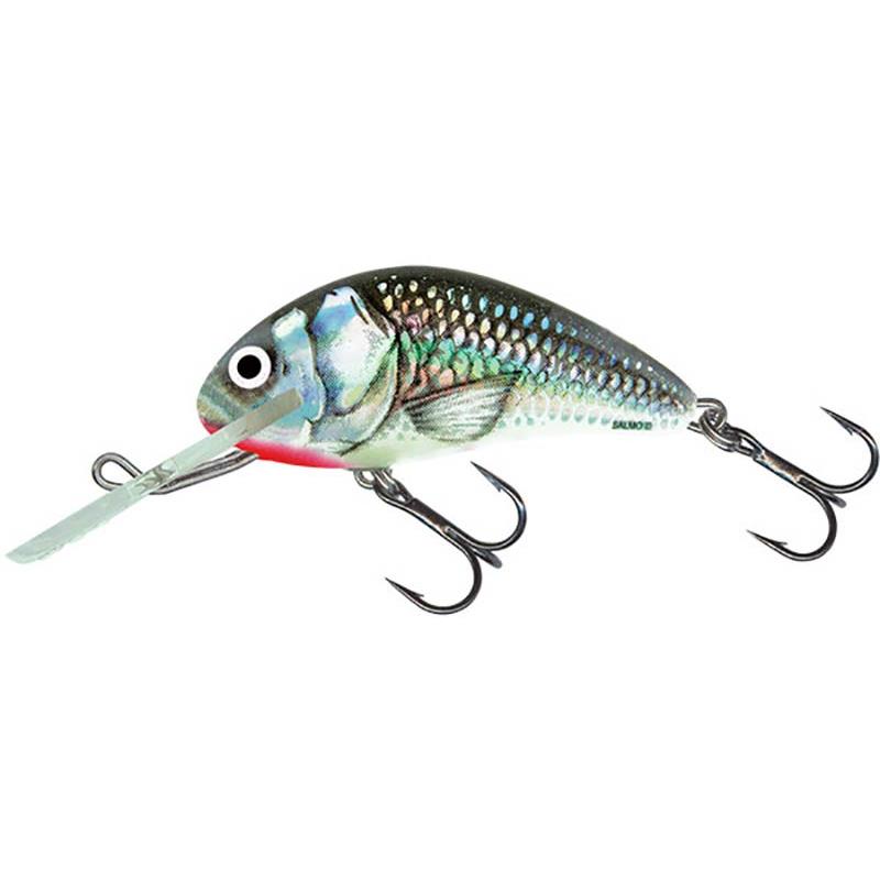 Lures Salmo HORNET SINKING 5CM HOLOGRAPHIC GREY SHINER