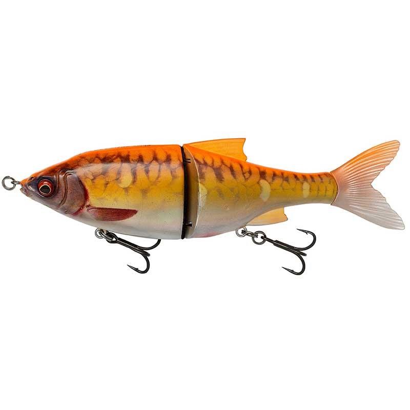 3D ROACH SHINE GILDER PHP 18CM GOLD FISH PHP