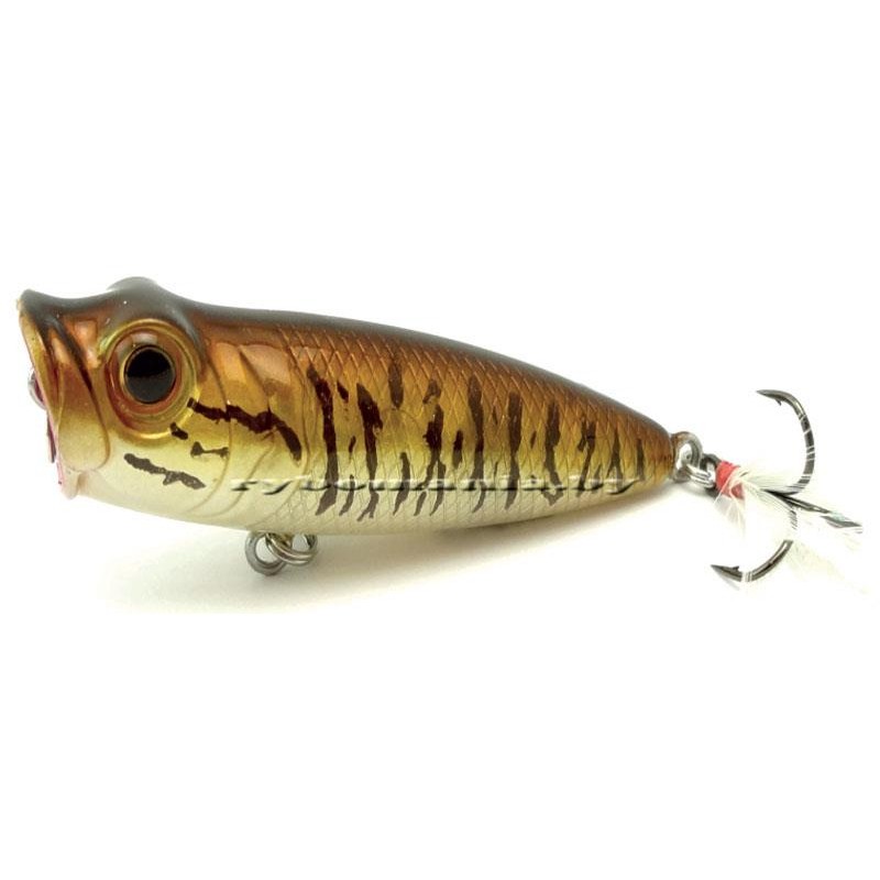 GOBO POPPER 6CM SMALL MOUTH