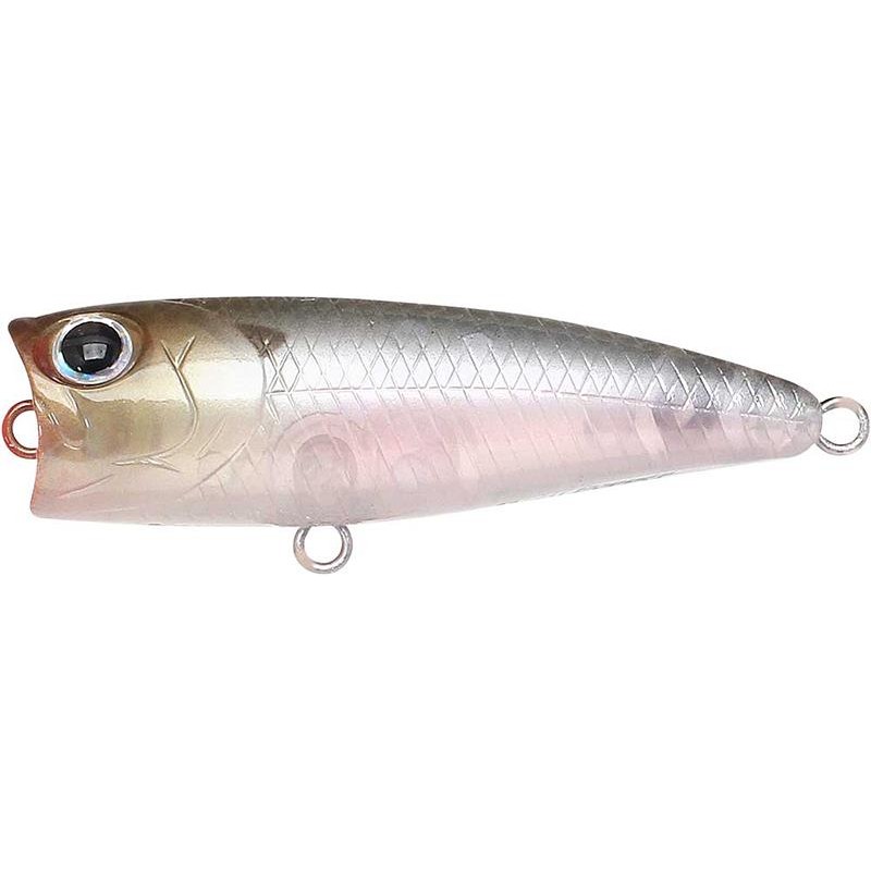 Lures Lucky Craft BEVY POPPER 50 GHOST MINNOW
