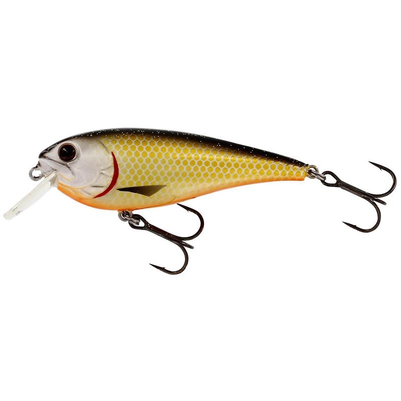 Lures Westin RAW BITE 7CM OFFICIAL ROACH