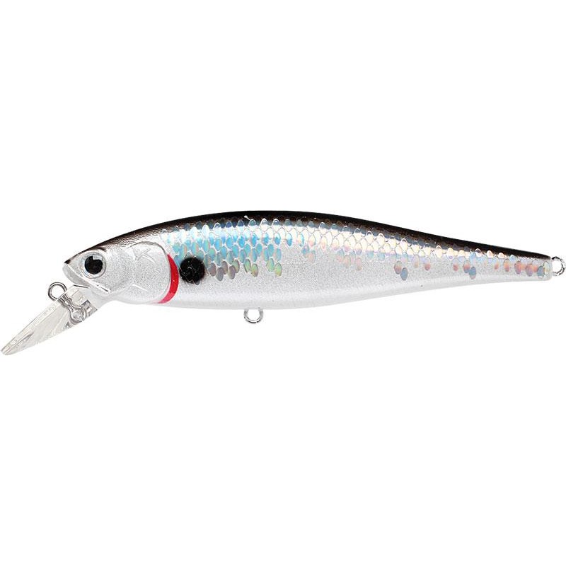 Lures Lucky Craft B'FREEZE POINTER 10CM SP MS NATURAL SUCKER