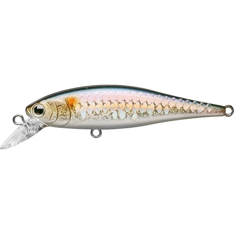Lures Lucky Craft B'FREEZE POINTER 6.5CM DEEP RIVER SP MS AMERICAN SHAD