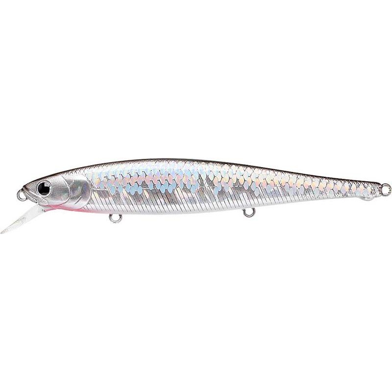 Lures Lucky Craft SW FLASH POINTER 11.5CM MS ANCHOVY