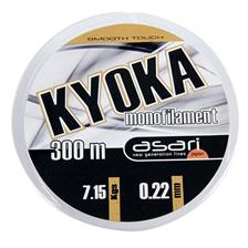 KYOKA 300M 22/100