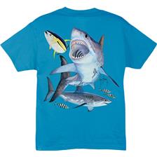 Habillement Guy Harvey GREAT TURQUOISE TAILLE XL